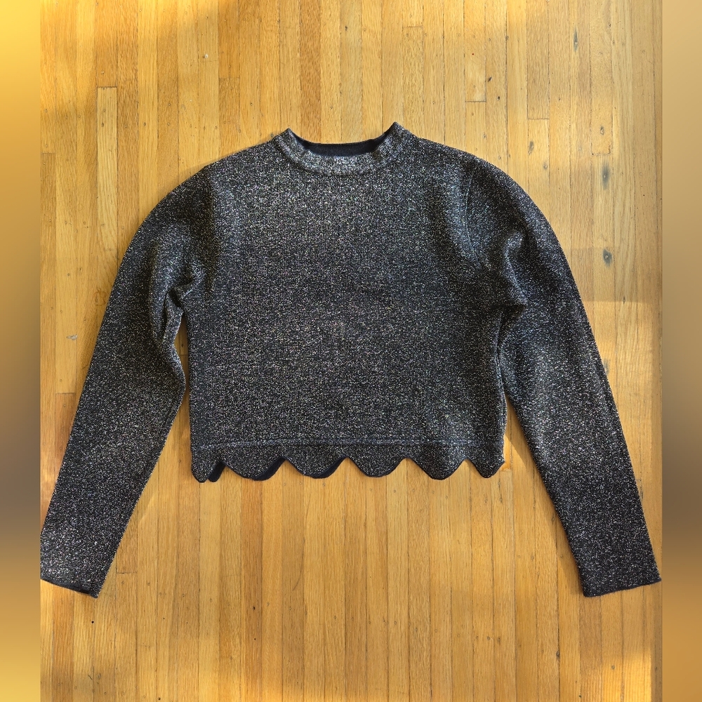 Zara Knit Sparkly Cropped Sweater - Size S